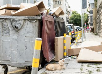 nette-katze-die-neben-muelleimer-draussen-sitzt_23-2148666769 nette-katze-die-neben-muelleimer-draussen-sitzt_23-2148666769